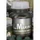 STARBAITS DIP GLM MARINE 200ML